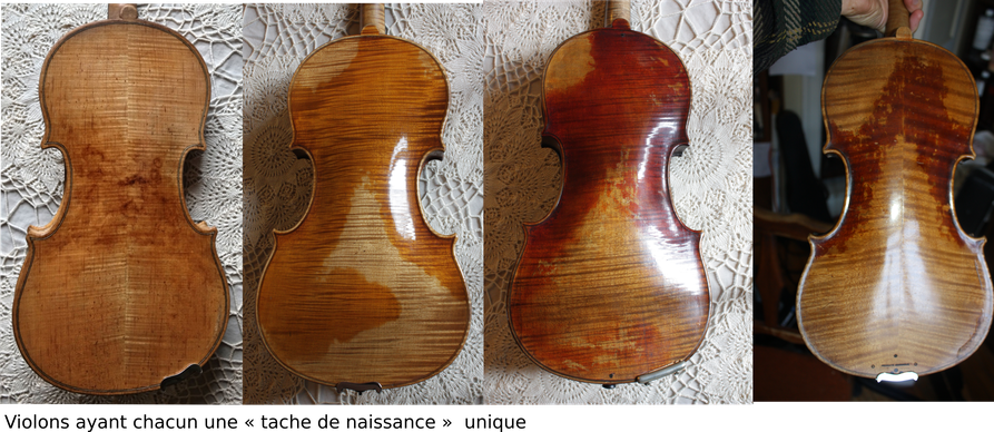 Violon taché | Choisir un violon chez P.Boucher